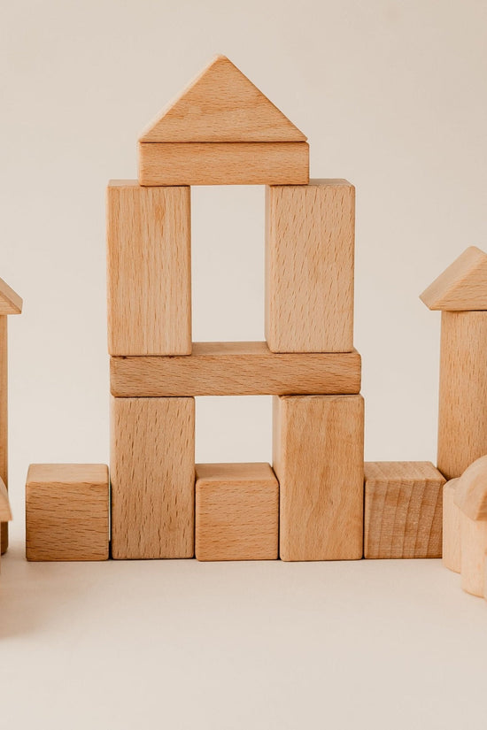 100 Piece Natural Wooden Blocks Set