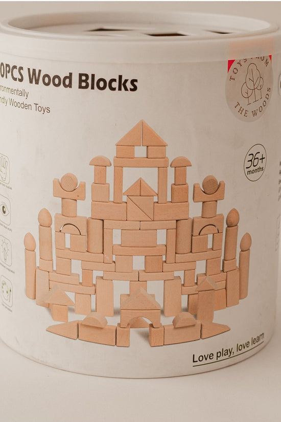 100 Piece Natural Wooden Blocks Set