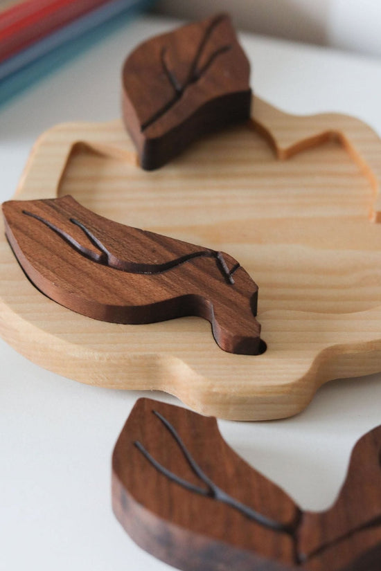 Leaf Puzzle
