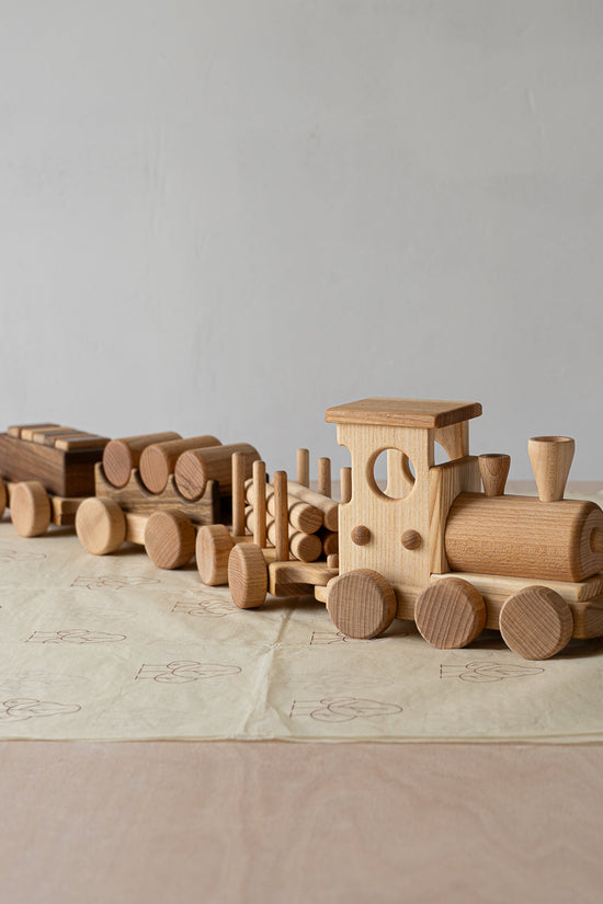 Pull Along Train and Wooden Building Blocks