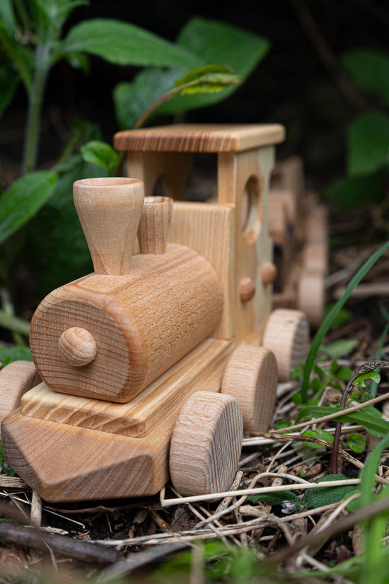Pull Along Train and Wooden Building Blocks