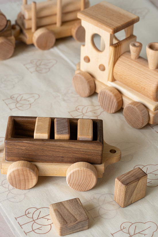 Pull Along Train and Wooden Building Blocks