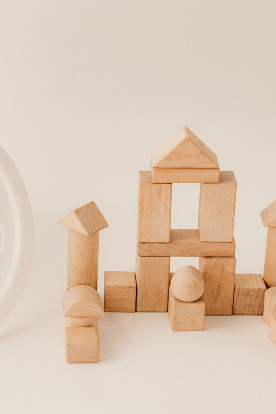 100 Piece Natural Wooden Blocks Set