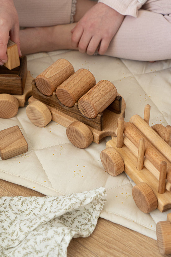 Pull Along Train and Wooden Building Blocks